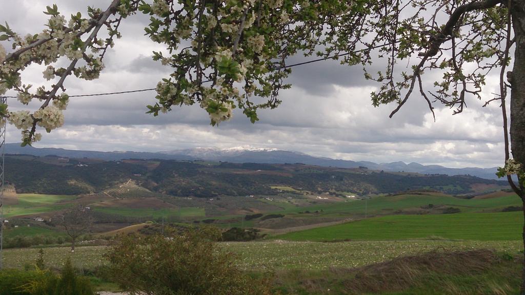 La Escuela Del Campo Panzió Setenil de las Bodegas Kültér fotó